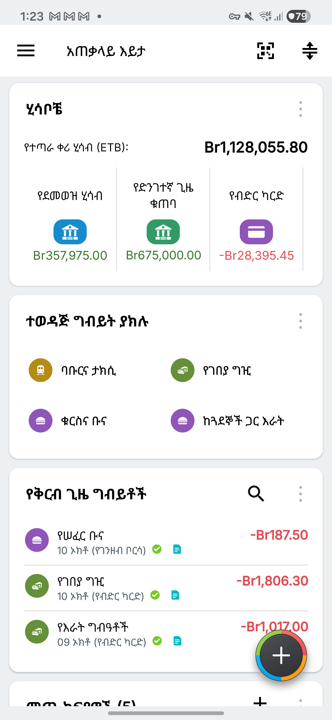 ምናባዊ የባንክ፣ የቁጠባና የብድር ካርድ ሂሳቦች ያሉበት የExpense IQ እይታ