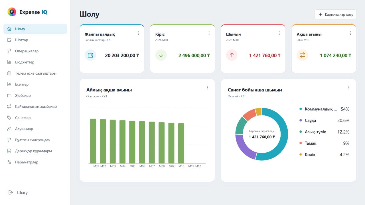 Ойдан шығарылған отбасы деректері бар Expense IQ веб-тақтасы