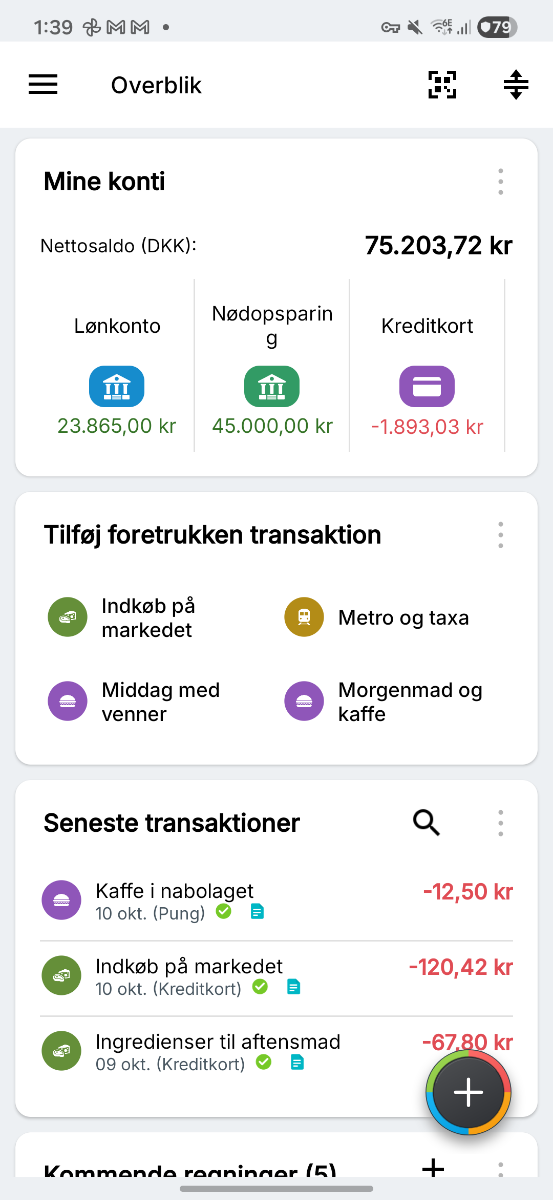 Oversigt med fiktive lønkonti, opsparing og kreditkort