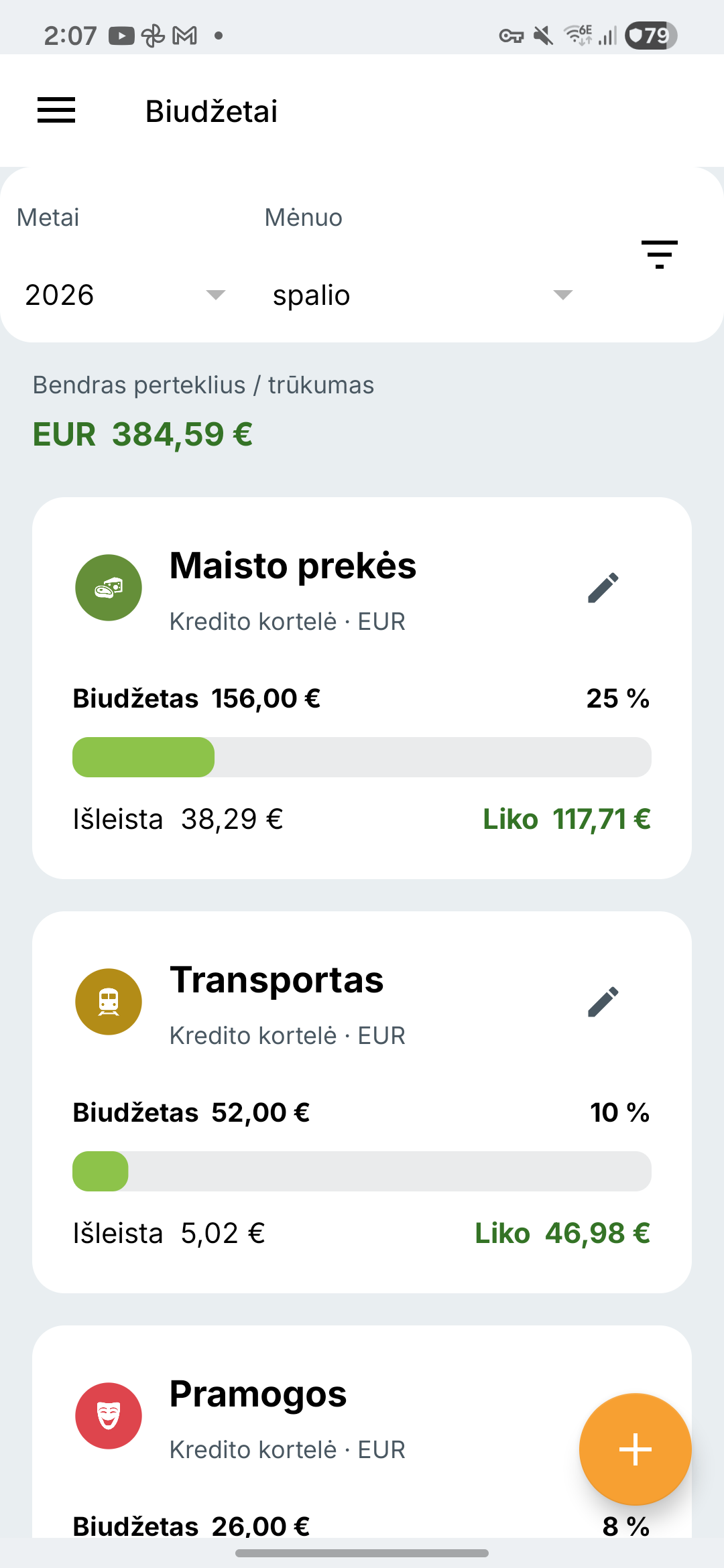 Expense IQ biudžetų ekranas