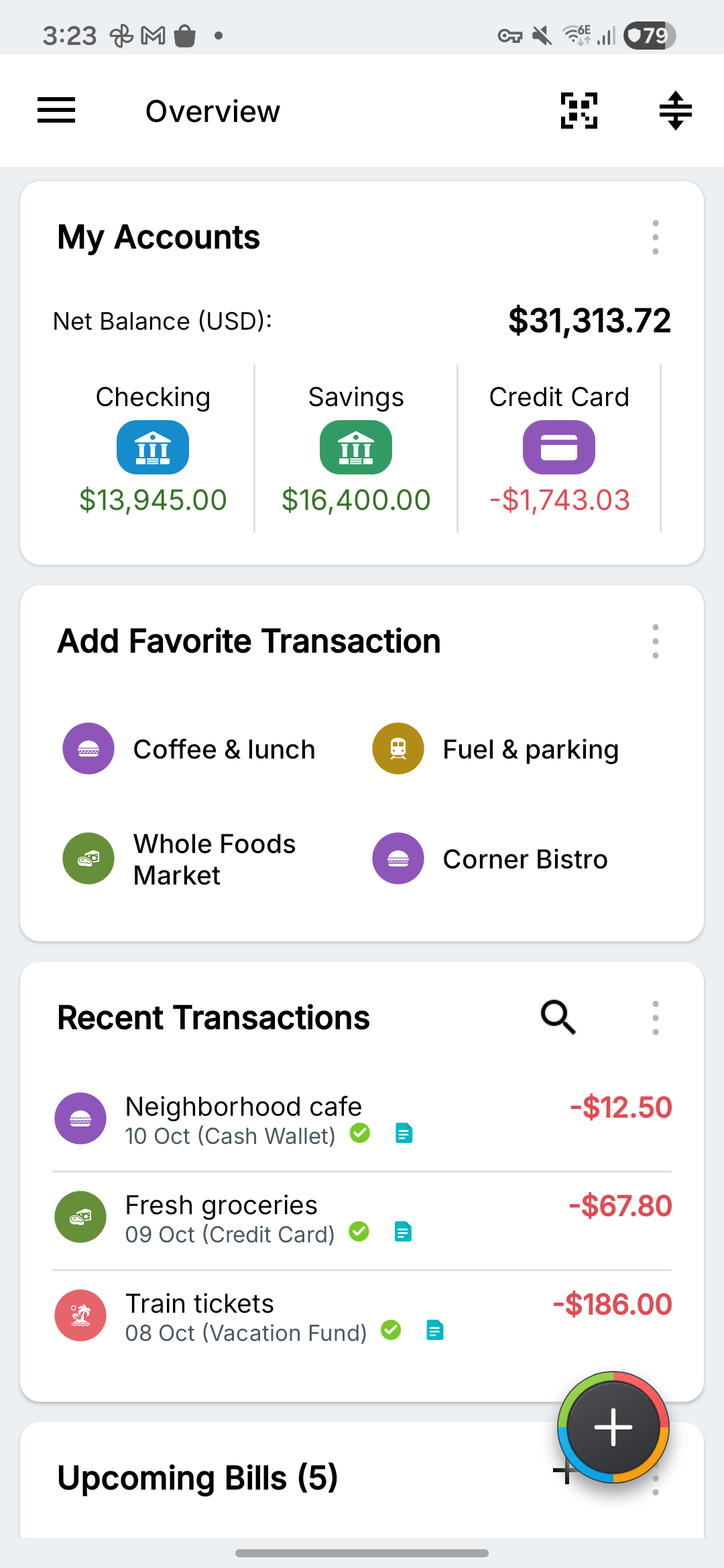 Actual Expense IQ overview showing fictional USD checking, savings and credit card accounts