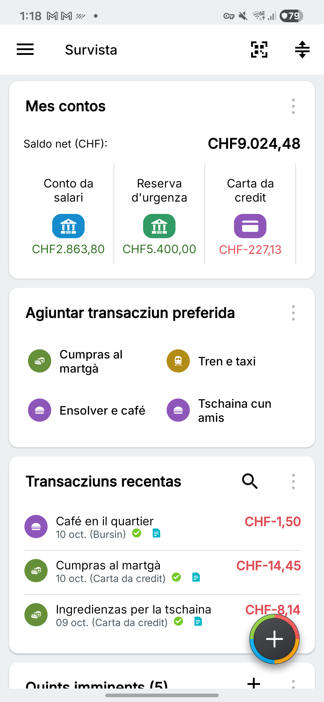 Survista Expense IQ cun contos currents, da spargn e da cartas da credit fictivs