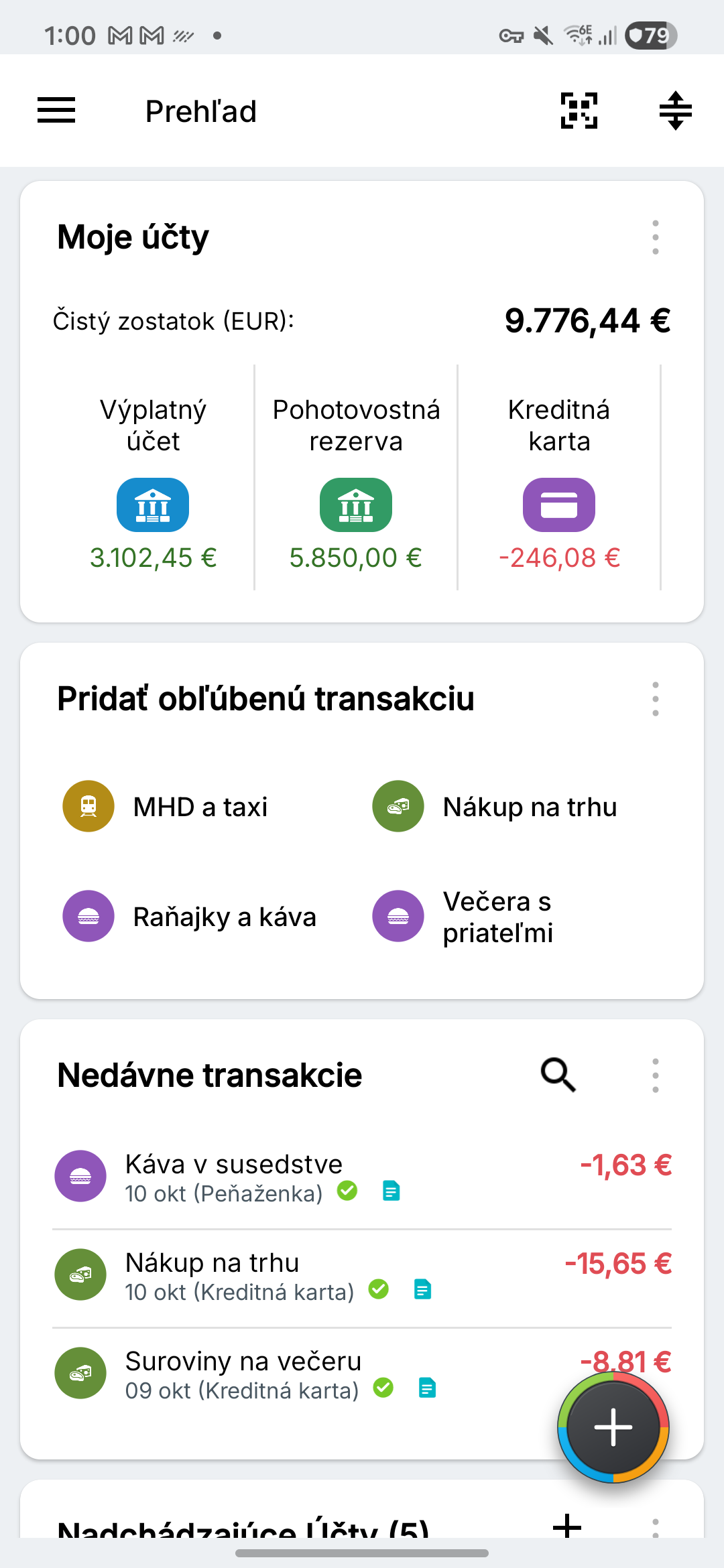 Prehľad s fiktívnymi bežnými účtami, úsporami a kreditnými kartami