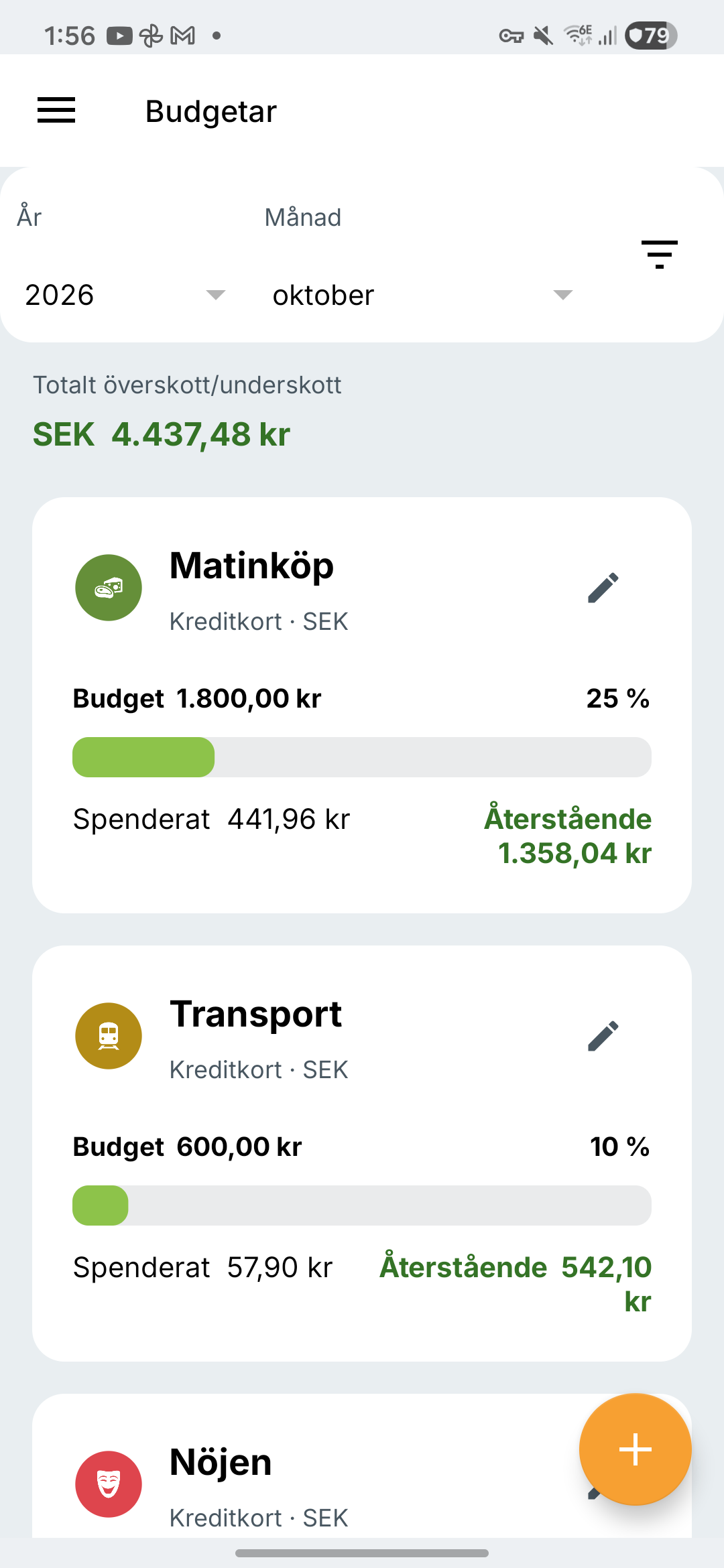 Expense IQ-budgetskärm