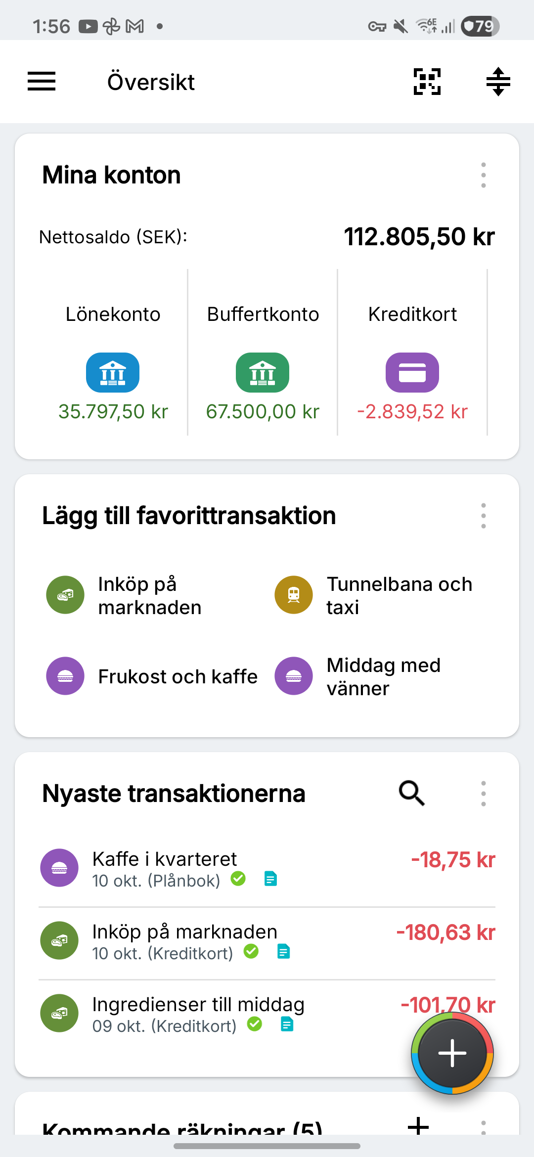 Översikt med fiktiva lönekonton, sparande och kreditkort