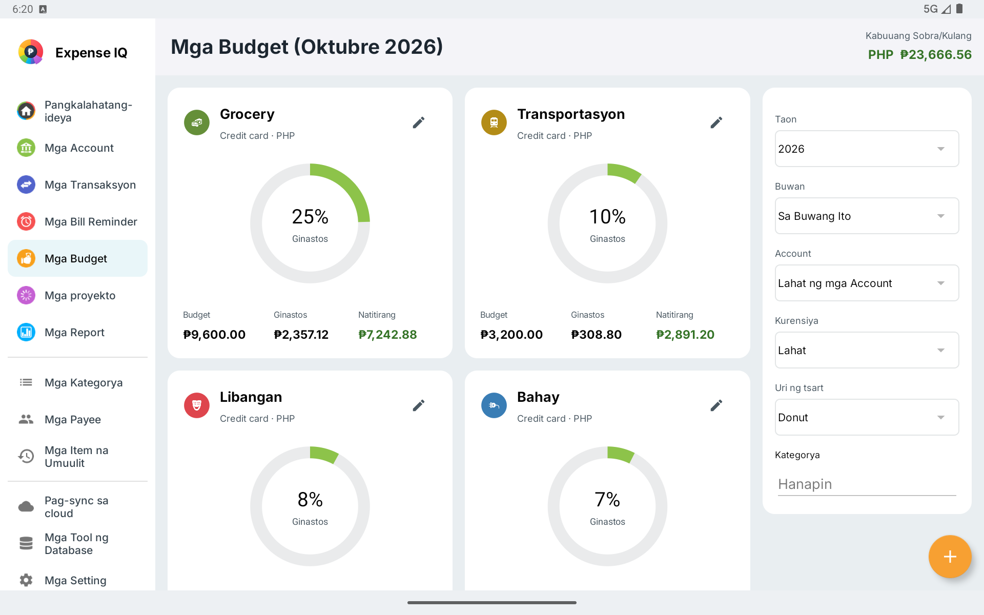 Mga budget card at filter panel sa pahigang Android tablet