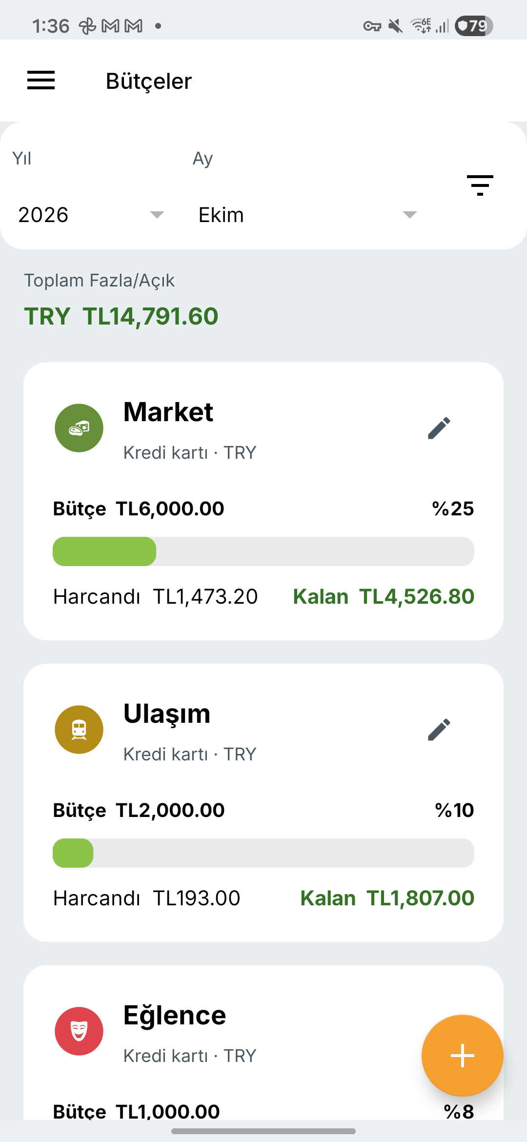 Expense IQ bütçeler ekranı